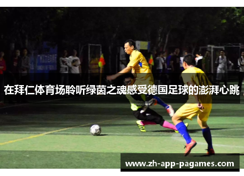 在拜仁体育场聆听绿茵之魂感受德国足球的澎湃心跳