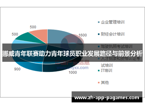 挪威青年联赛助力青年球员职业发展路径与前景分析
